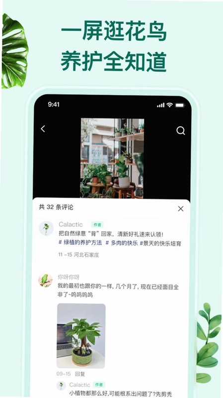花鸟鱼虫预览图