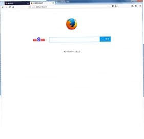 Firefox 标准版预览图
