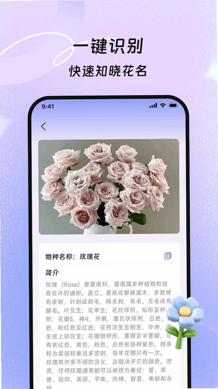 灵韵巧移预览图