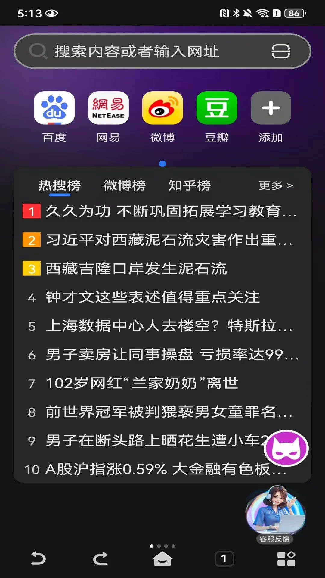 DO浏览器界面预览