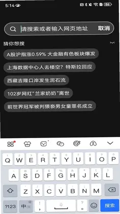 DO浏览器预览图