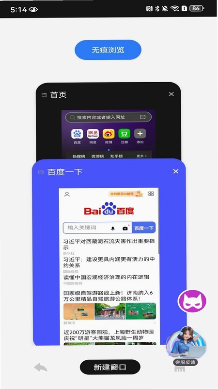 DO浏览器预览图