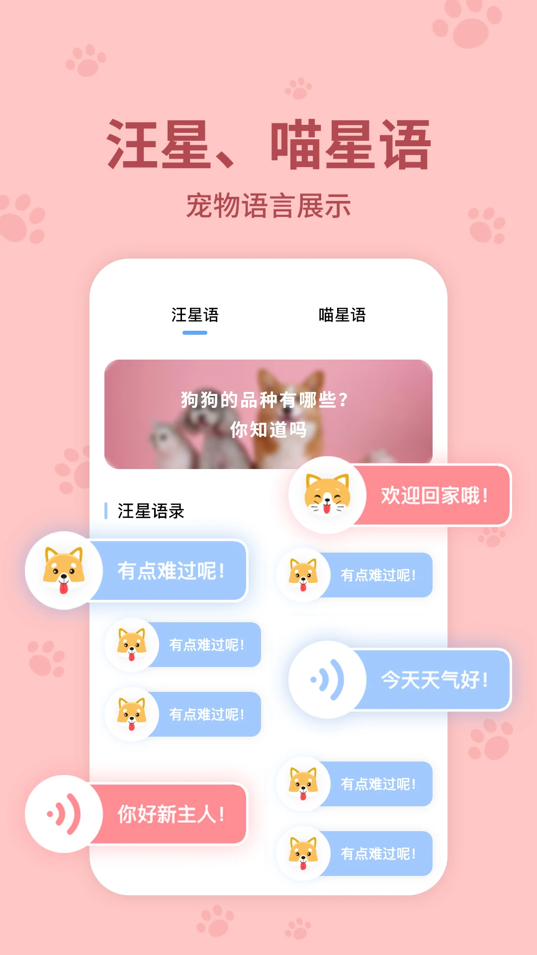 动物翻译器互动界面
