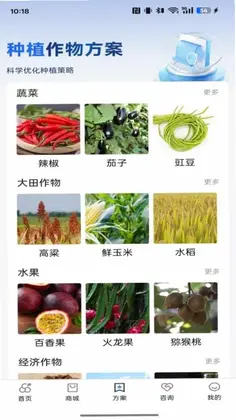 卓豪源预览图