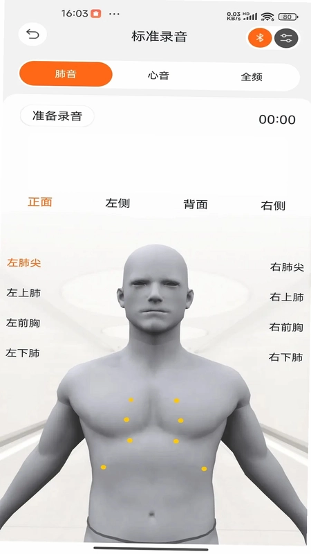 听诊教学预览图