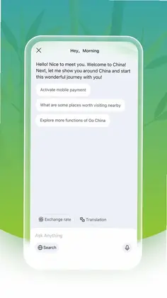 你好中国预览图