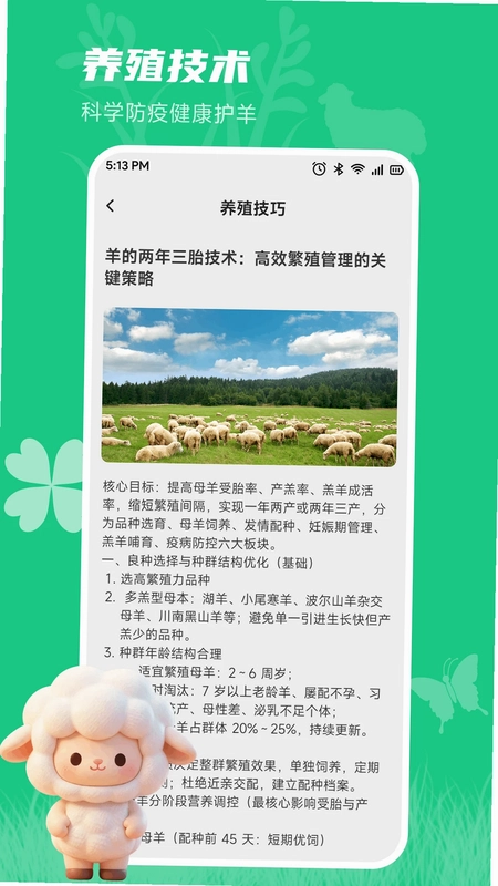 小羊满满记预览图