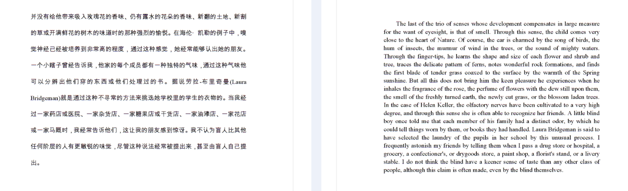 译简智译适合哪些人群使用