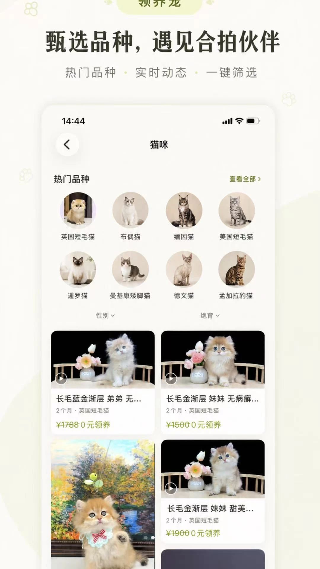领养宠宠物品种展示