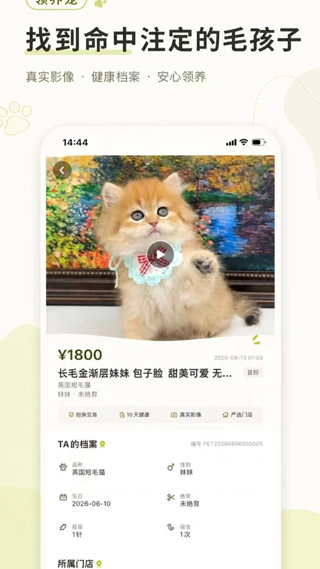 领养宠预览图