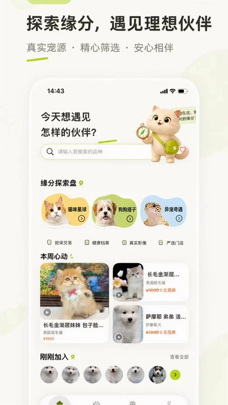 领养宠预览图