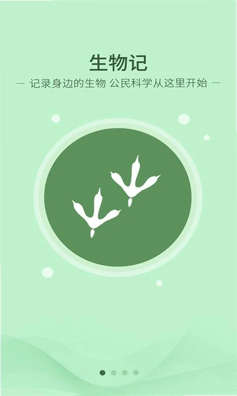 �����Ԥ��ͼ