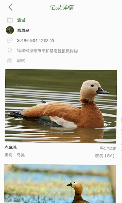 �����Ԥ��ͼ