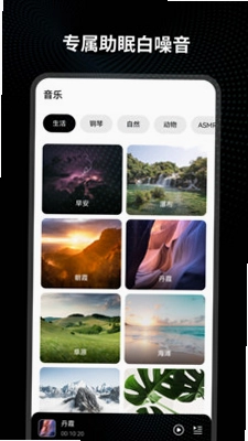 Lenyes Smart预览图