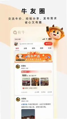 有牛预览图