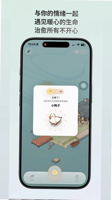 ������islandԤ��ͼ