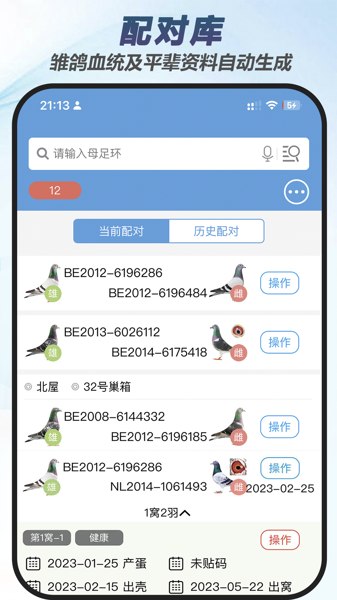 赛鸽出行模式切换界面截图