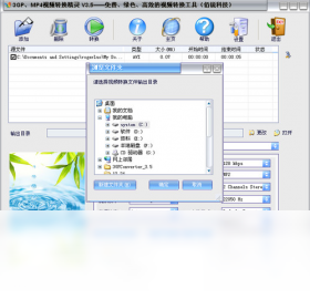 视频格式选择