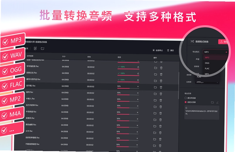 金舟音频大师软件预览图