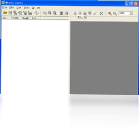 Icon sushi电脑版预览图