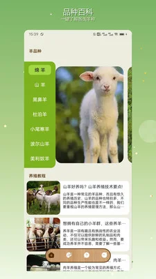 快乐小羊最新版本预览图