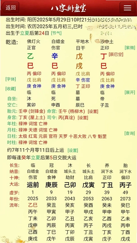 马国峻八字排盘宝预览图