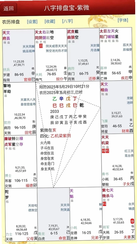 马国峻八字排盘宝预览图