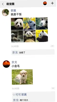 队信预览图