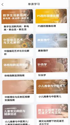 东软凤凰学院在线预览图