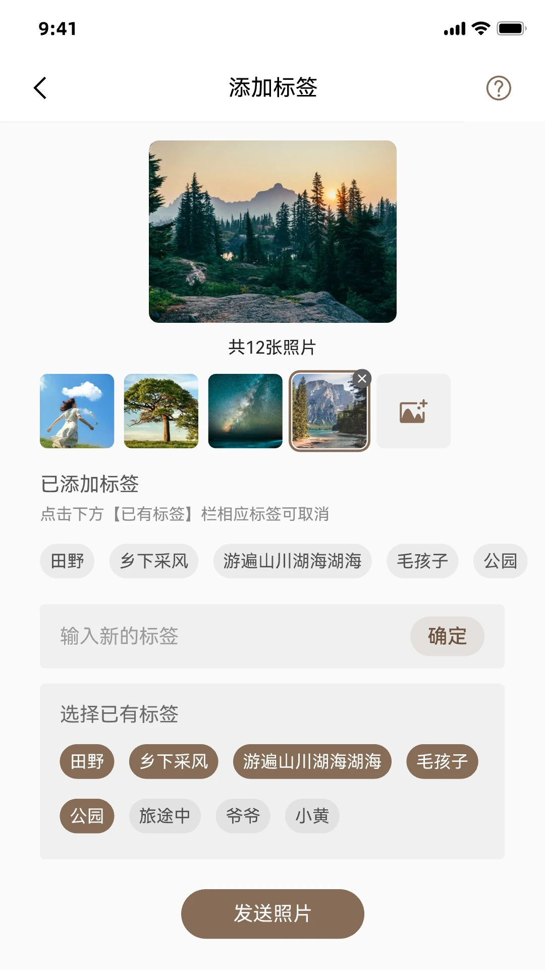 DolphinFrame上传记录界面