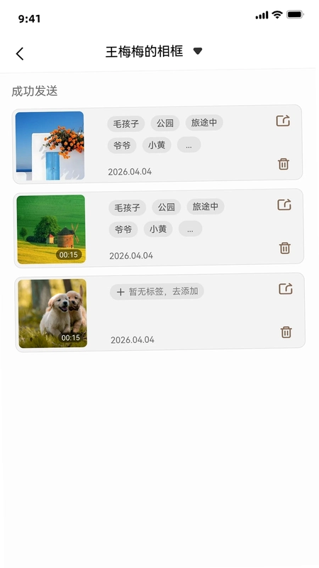 DolphinFrame预览图
