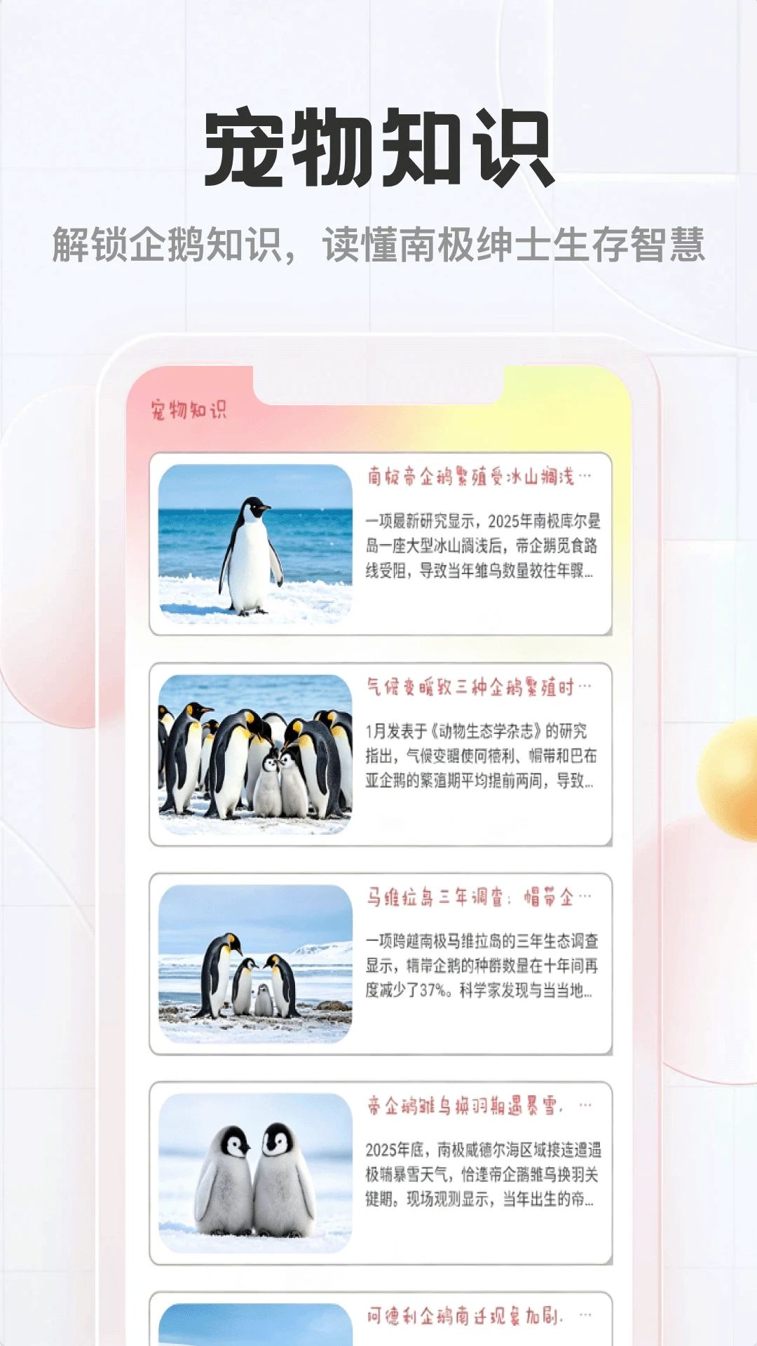 企鹅多多预览图