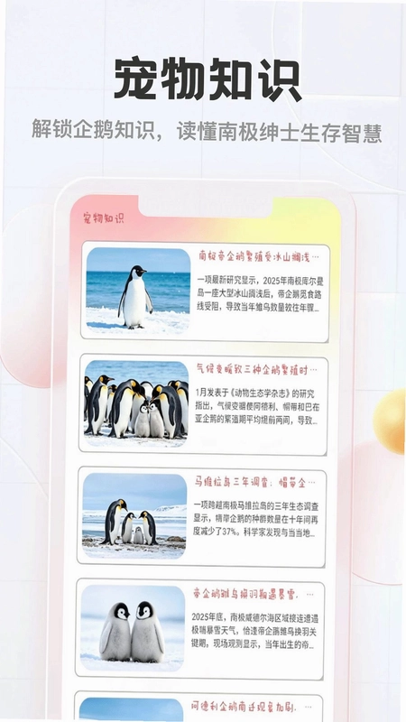 企鹅多多预览图