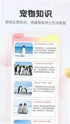 企鹅多多预览图