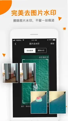 视频去水印预览图