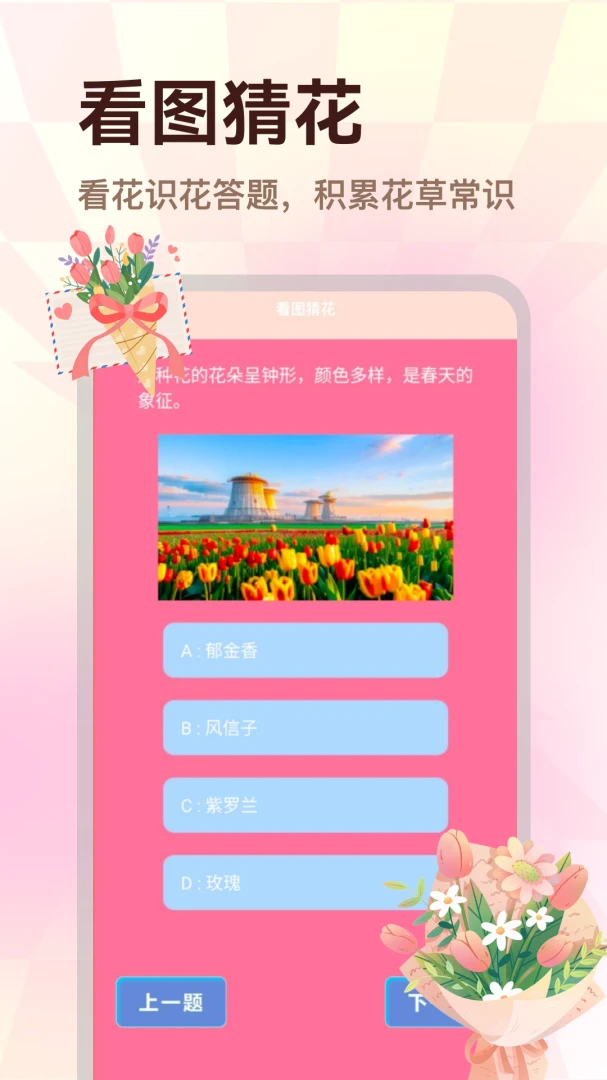 �����ʻ���ֽ