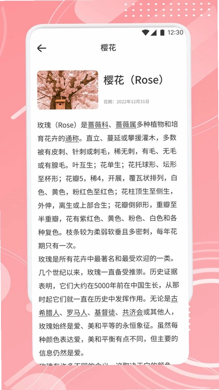 TheOne陪伴预览图