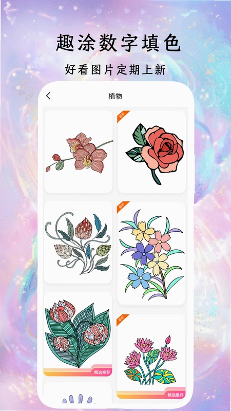 趣涂数字填色解压绘本预览图