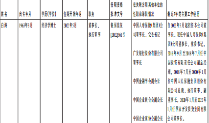 利安人寿正规保险公司偿付能力报告
