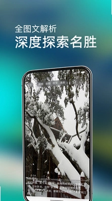 闪电鲨预览图