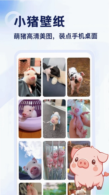 解救猪猪官方版预览图