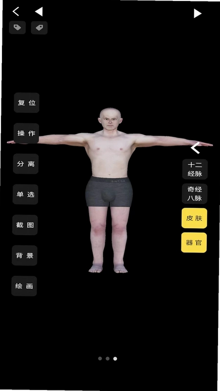 一极清水3D解剖预览图