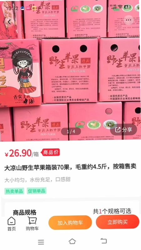 �ʹ����Ԥ��ͼ