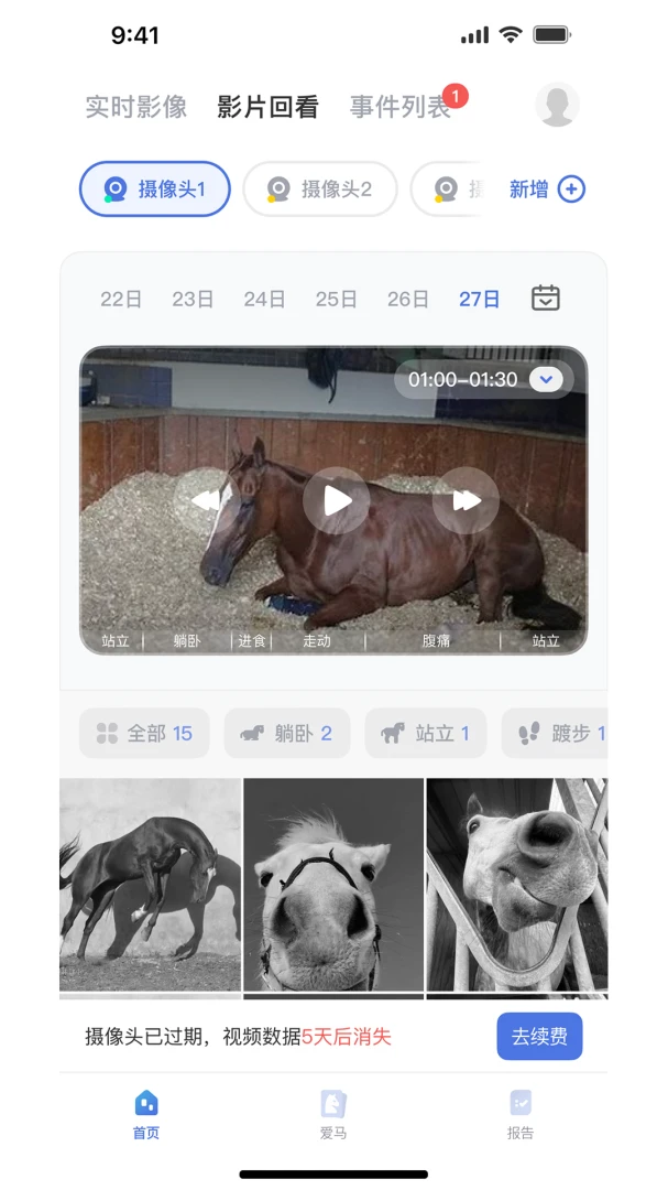 EquiSight提醒功能