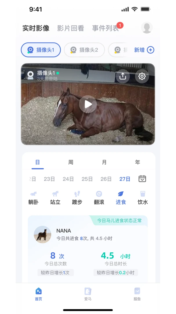 EquiSight行为识别