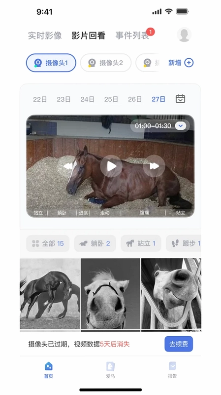 EquiSight 马匹智能监测预览图