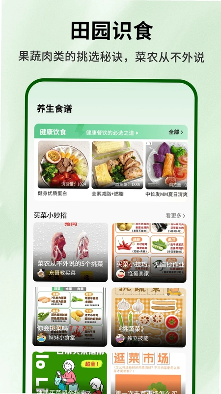 奶奶的小菜园最新版预览图