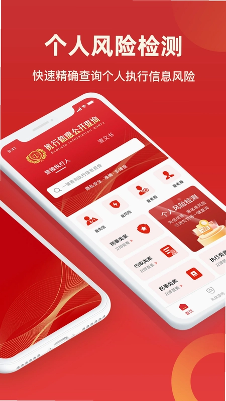 执行信息公开查询预览图