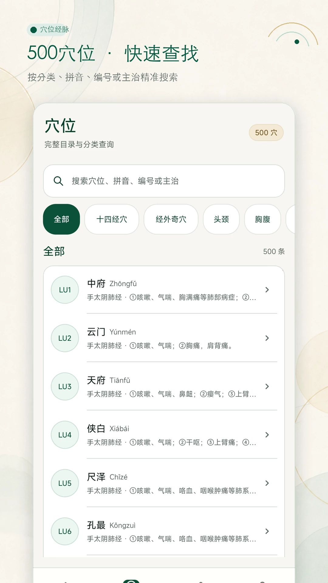 穴位经脉大全十四经脉