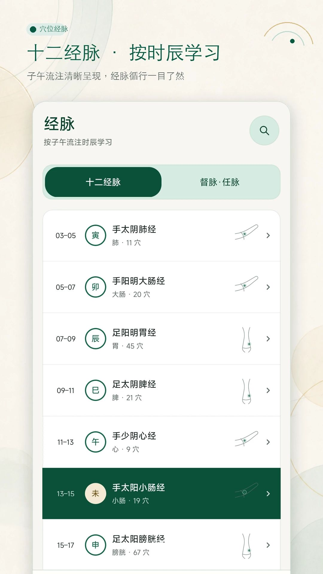 穴位经脉大全图解